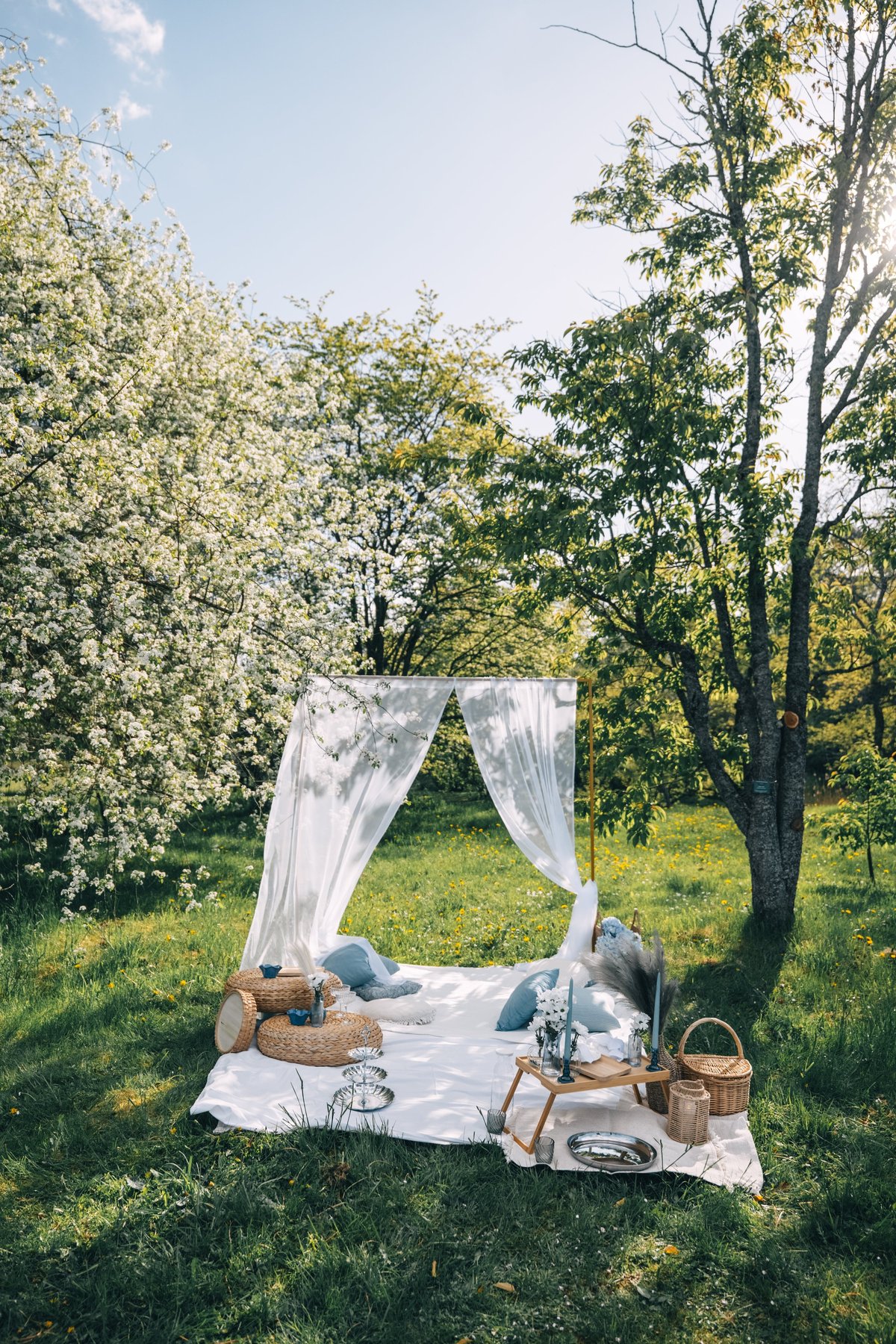A soft picnic blanket with pillows and a basket set up beneath blooming trees on a bright afternoon